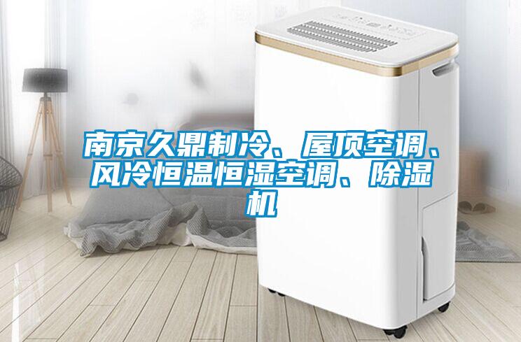 南京久鼎制冷、屋頂空調、風冷恒溫恒濕空調、除濕機