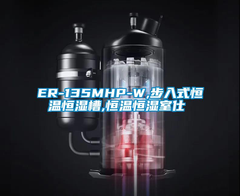 ER-135MHP-W,步入式恒溫恒濕槽,恒溫恒濕室仕様書