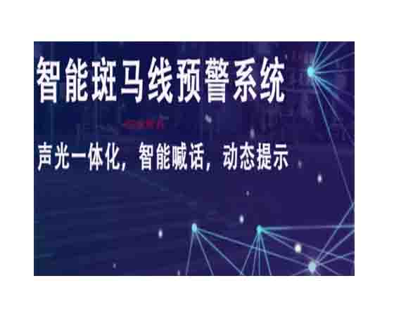 智慧斑馬線(xiàn)預警單元-純視頻版(副)設備.jpg